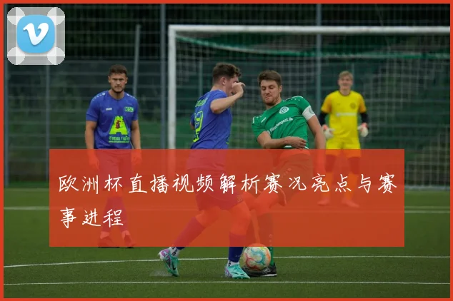 欧洲杯直播视频解析赛况亮点与赛事进程