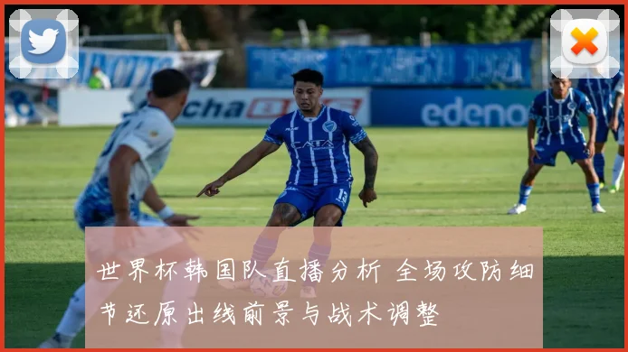 世界杯韩国队直播分析 全场攻防细节还原出线前景与战术调整