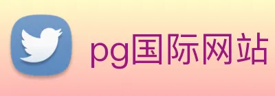 pg国际网站 logo